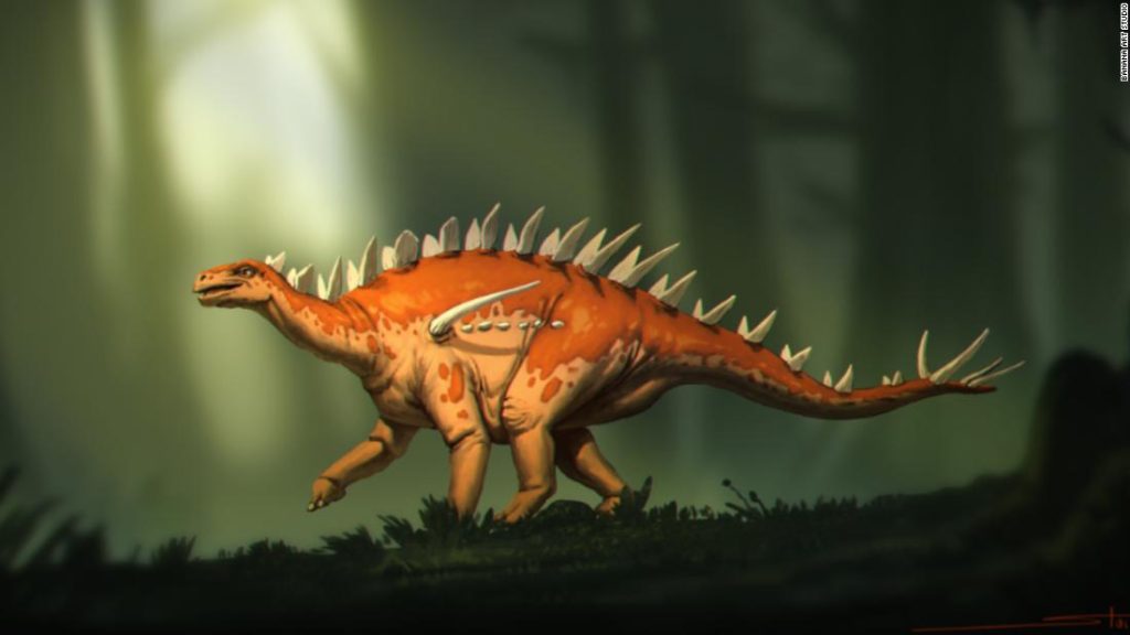 発見されたステゴサウルスの化石には「奇妙な特徴の組み合わせ」があります