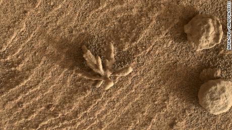 小さい＆＃39; 花＆＃39; キュリオシティローバーによって火星で観測された地層