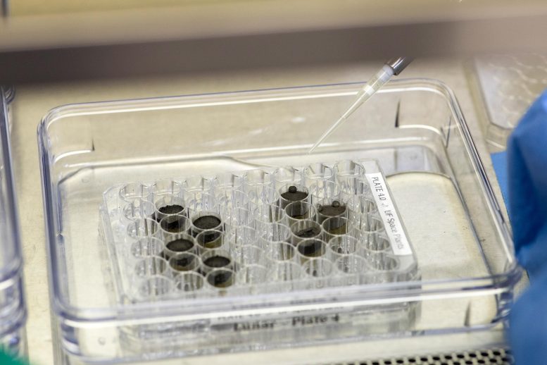 Lunar Soil in Containers