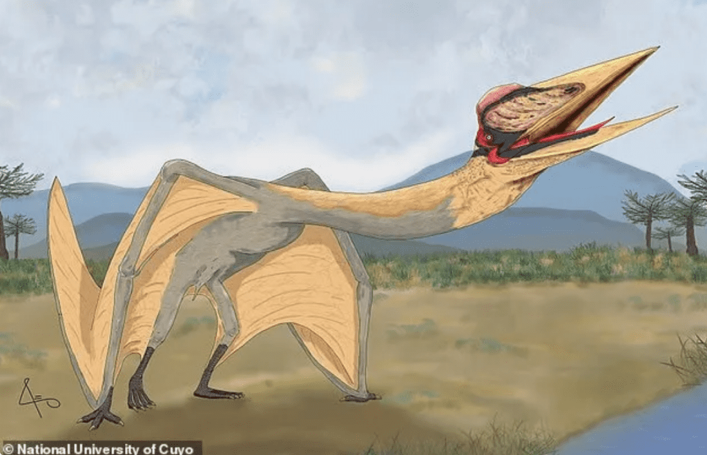 アルゼンチンで発見された巨大な飛んでいる爬虫類の古代の化石