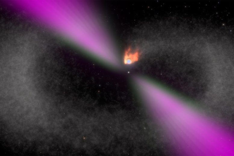 Black Widow Pulsar and Its Stellar Companion