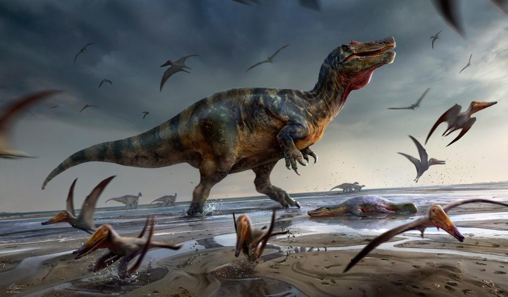 ワイト島でのヨーロッパ最大の略奪恐竜の発見