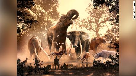 現代の象は古代の気候変動から逃れてきました。 マストドンを含む他の種は180種しかありませんでした