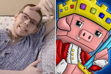 MinecraftYouTuberは癌と診断されてから1年後に姿を消します