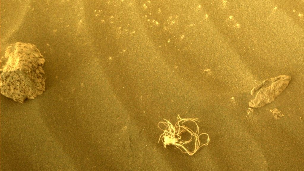 火星のNASA宇宙船が、ウイルスを広めている奇妙な糸のような物体を発見