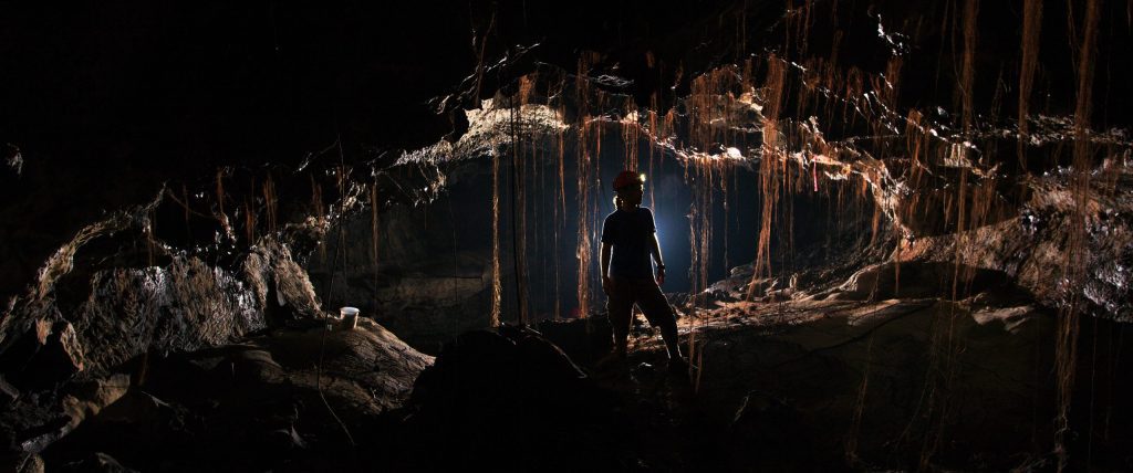 古代の微生物の「暗黒物質」-ハワイの溶岩洞窟で発見された何千もの未知の細菌種