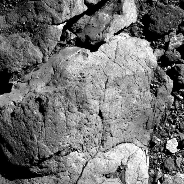 Bennu Surface PolyCam