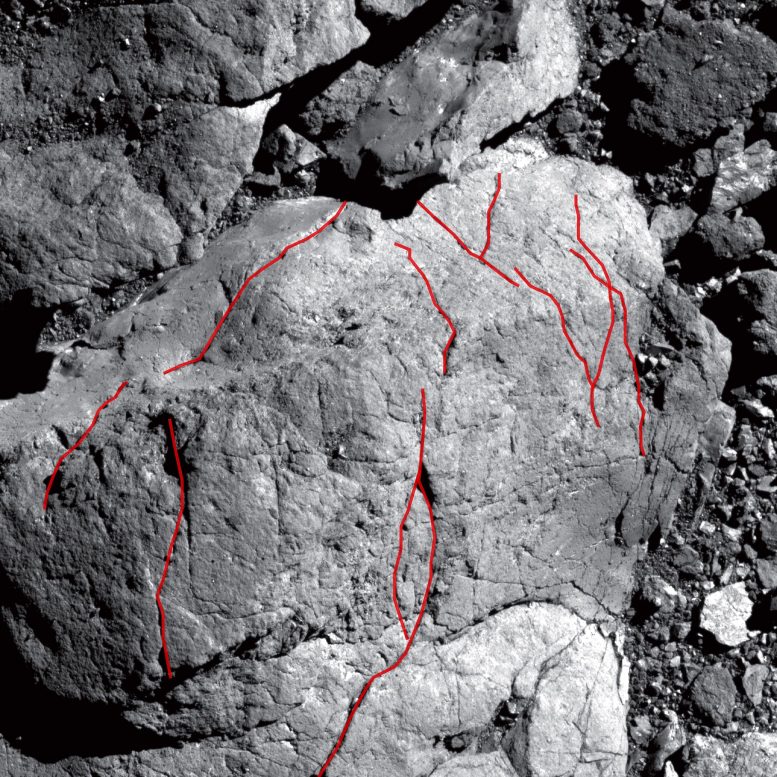 Bennu Surface PolyCam Fractures Highlighted
