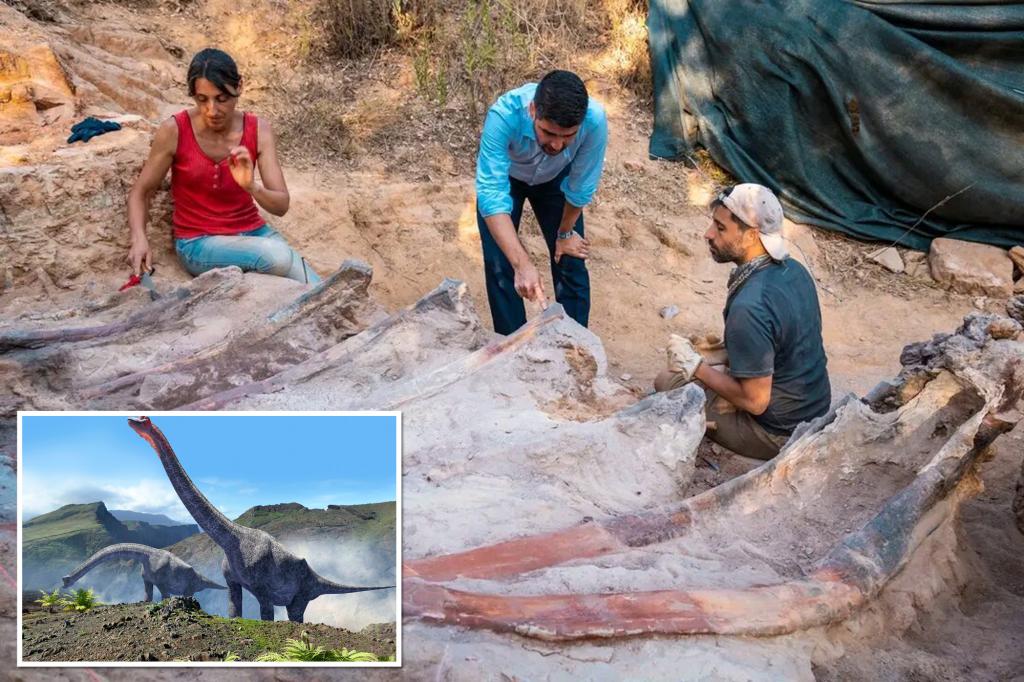 ポルトガルの男性の裏庭で高さ82フィートの恐竜の骨格が発見されました
