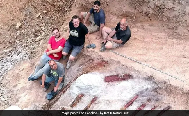Dinosaur Skeleton Found In Portugal Man