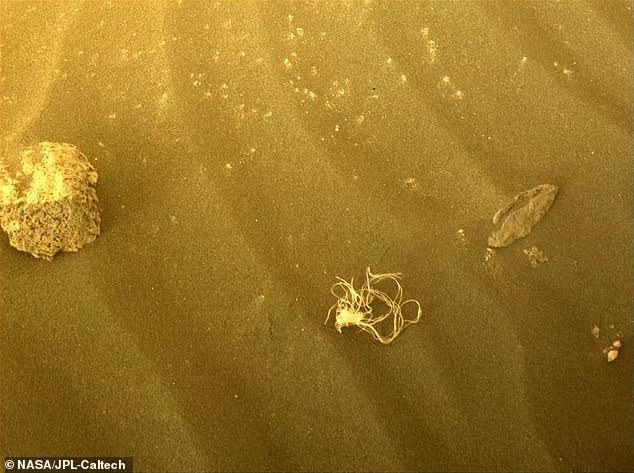 火星の風により、張り巡らされたウェブがほどけ始め、3 週間後には、結び目のあるひも状の物質のボールとして見られました。