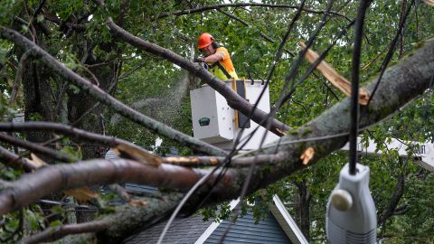 2022 年 9 月 24 日、ハリファックスで倒木や倒れた電線を被害から取り除く作業員。  