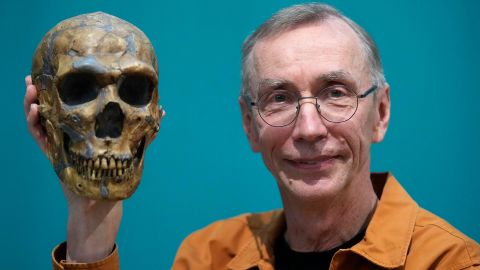 スウェーデンの科学者 Svante Pääbo は、ネアンデルタール人の骨格のレプリカを展示しています。