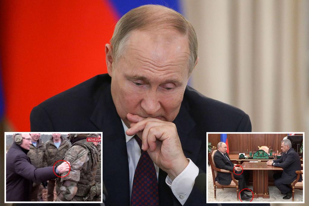 プーチン大統領、膵臓がんとパーキンソン病と闘う：レポート